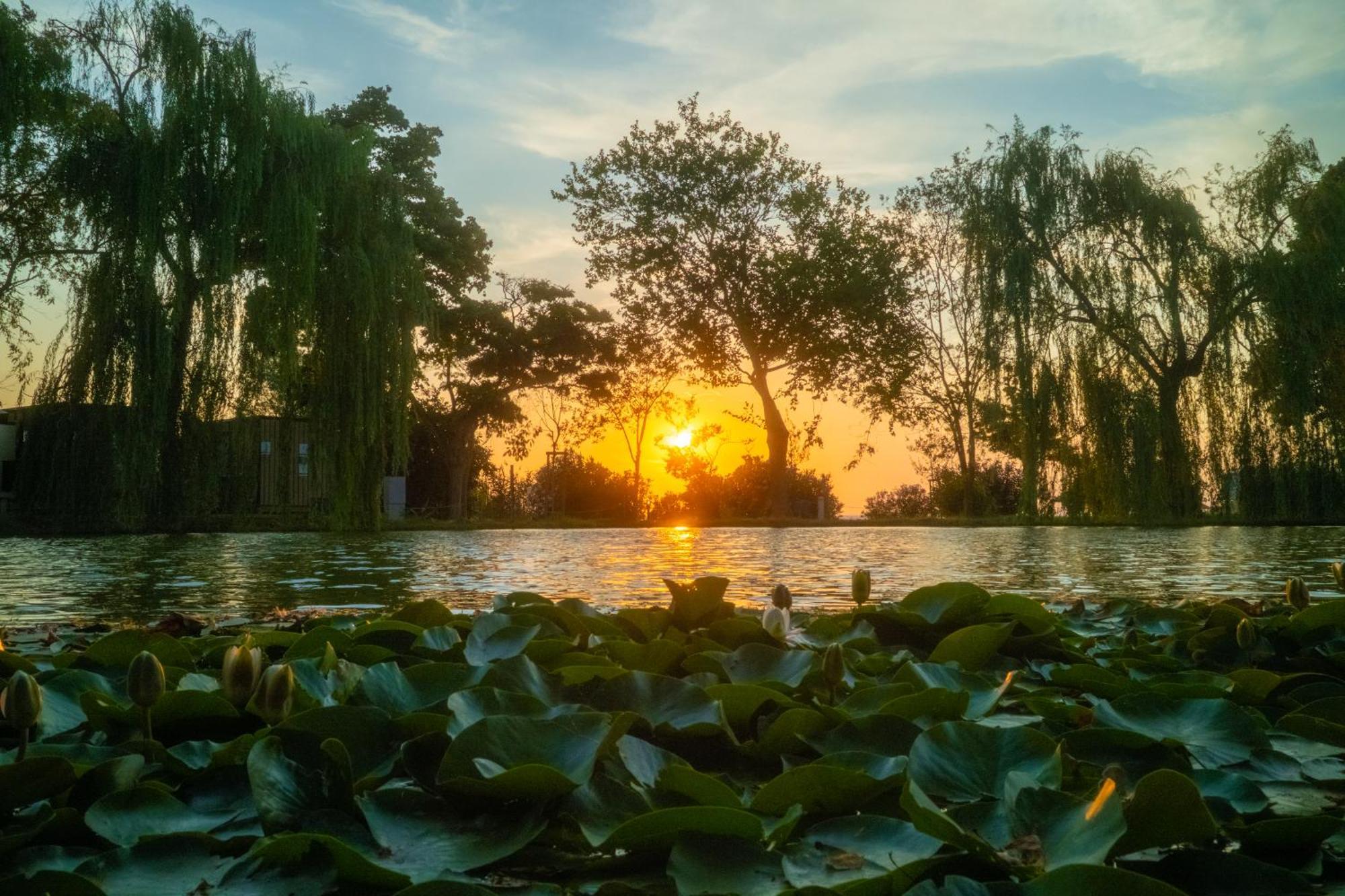 Trasimeno Glamping Resort Magione Bagian luar foto